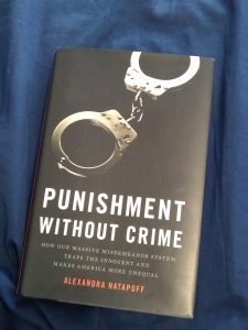 Punishment Without Crime by Alexandra Natapoff